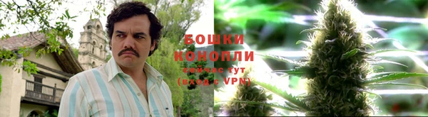 соль ск Гусь-Хрустальный