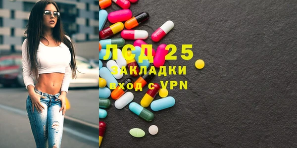 индика Армянск