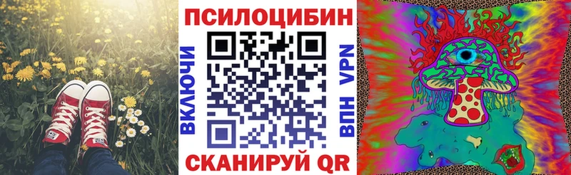 Галлюциногенные грибы Psilocybe Бологое