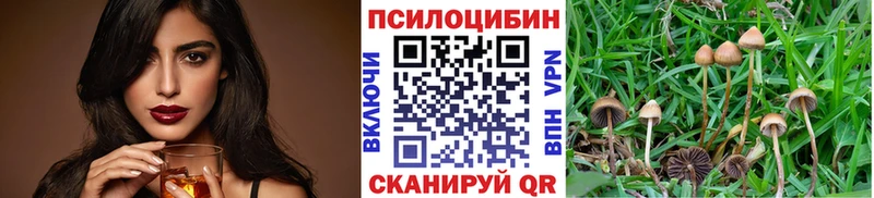 Псилоцибиновые грибы Psilocybine cubensis  цены   Бологое 